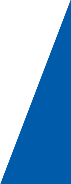 Diagonal split design with the top left half in black and the bottom right half in blue.